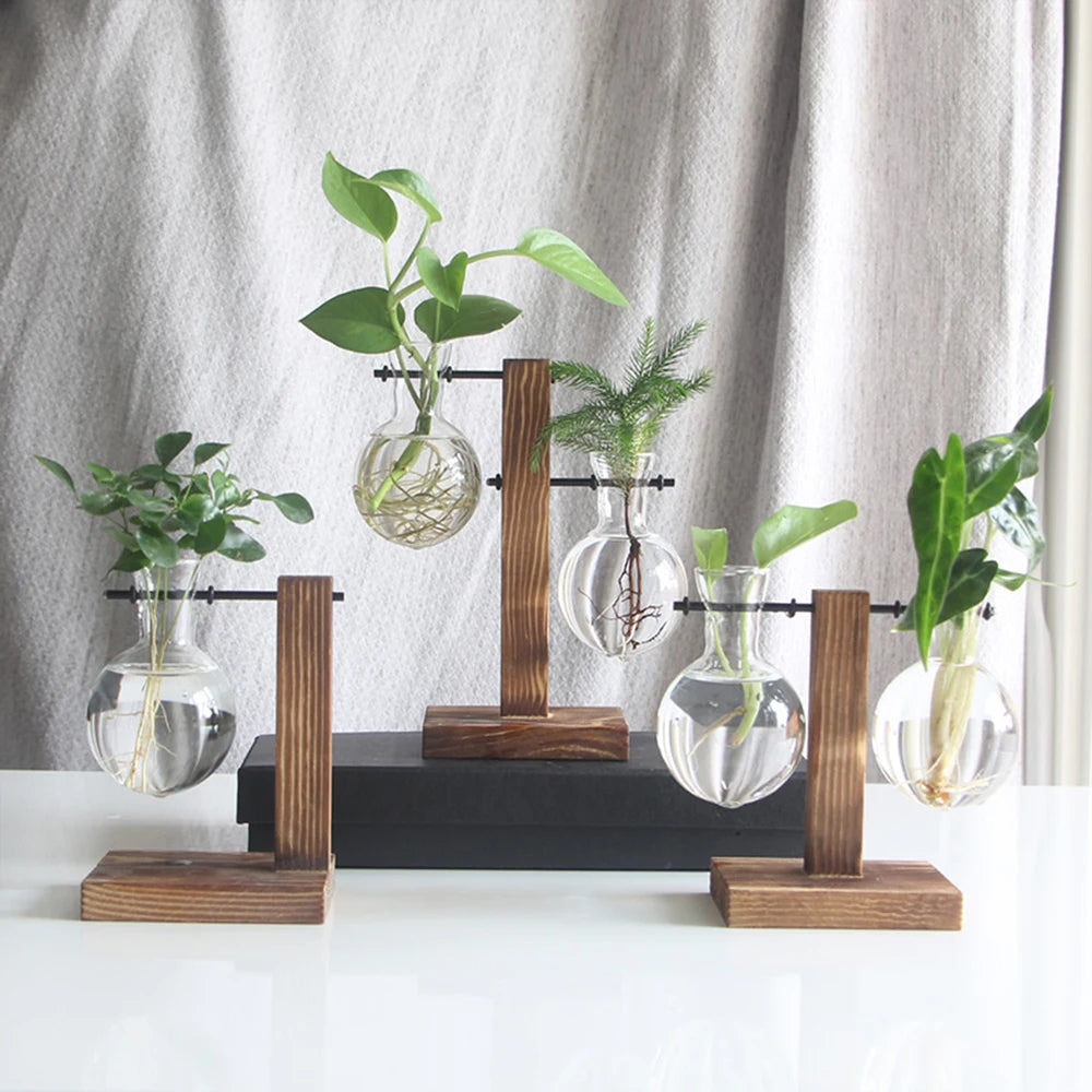Creative Glass Planter with Wooden Stand