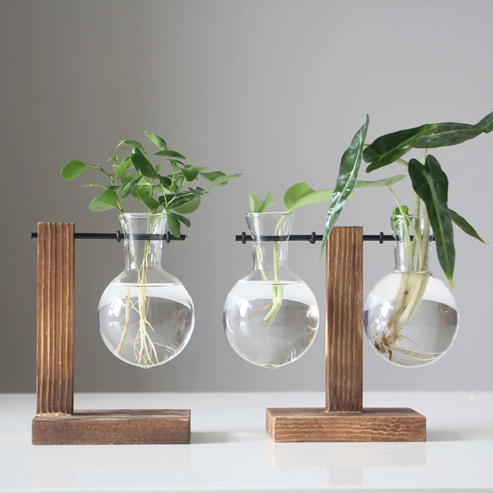 Creative Glass Planter with Wooden Stand