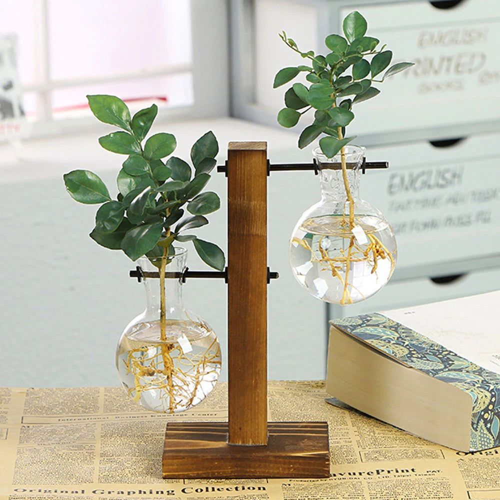 Creative Glass Planter with Wooden Stand