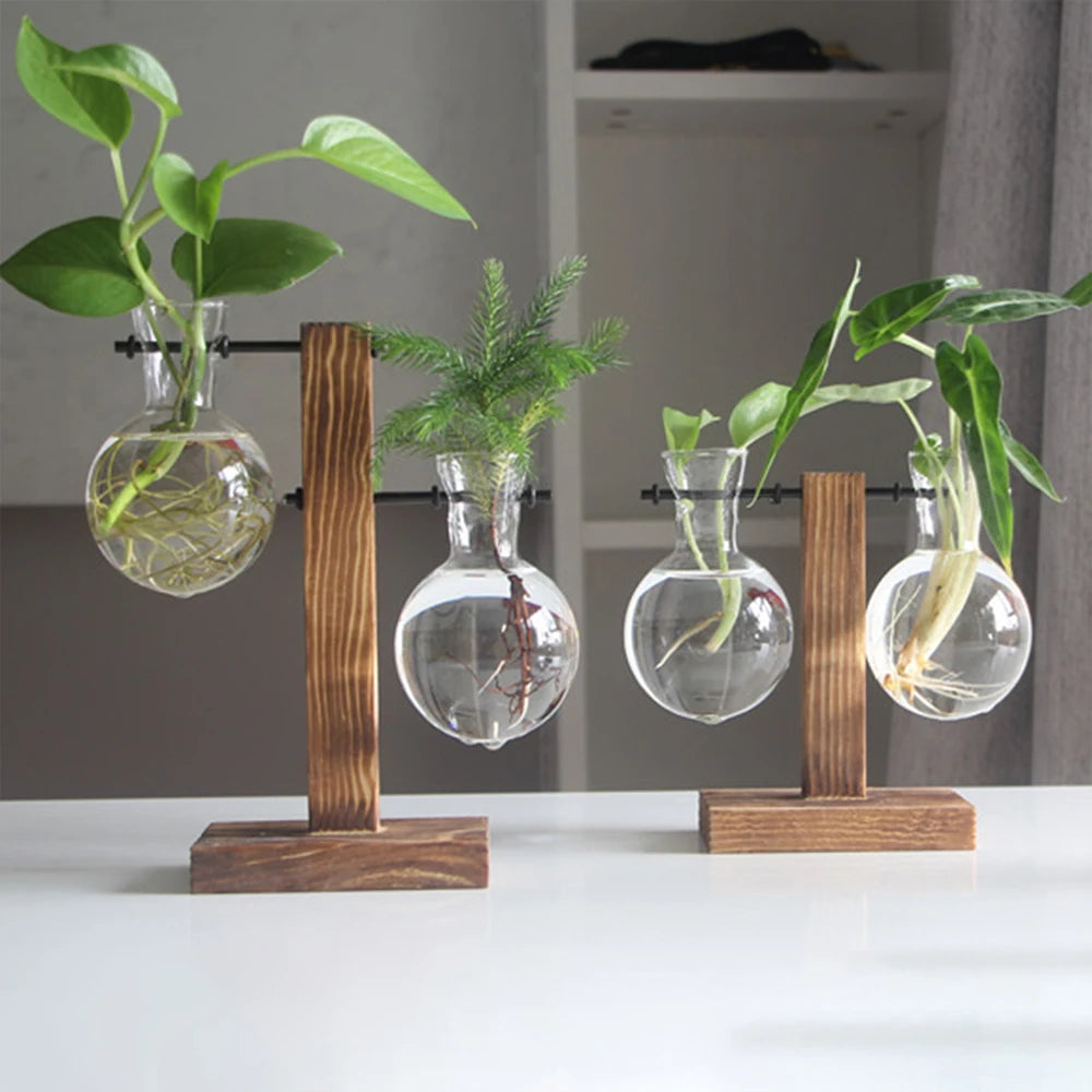 Creative Glass Planter with Wooden Stand